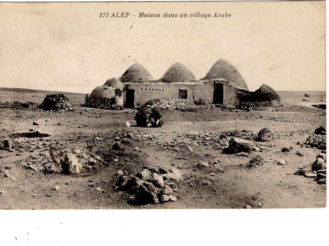 1 SYRIE SEMEUSE 30C ROUGE +20C BRUN CARTE ALEP 1924 POUR LE PUY
