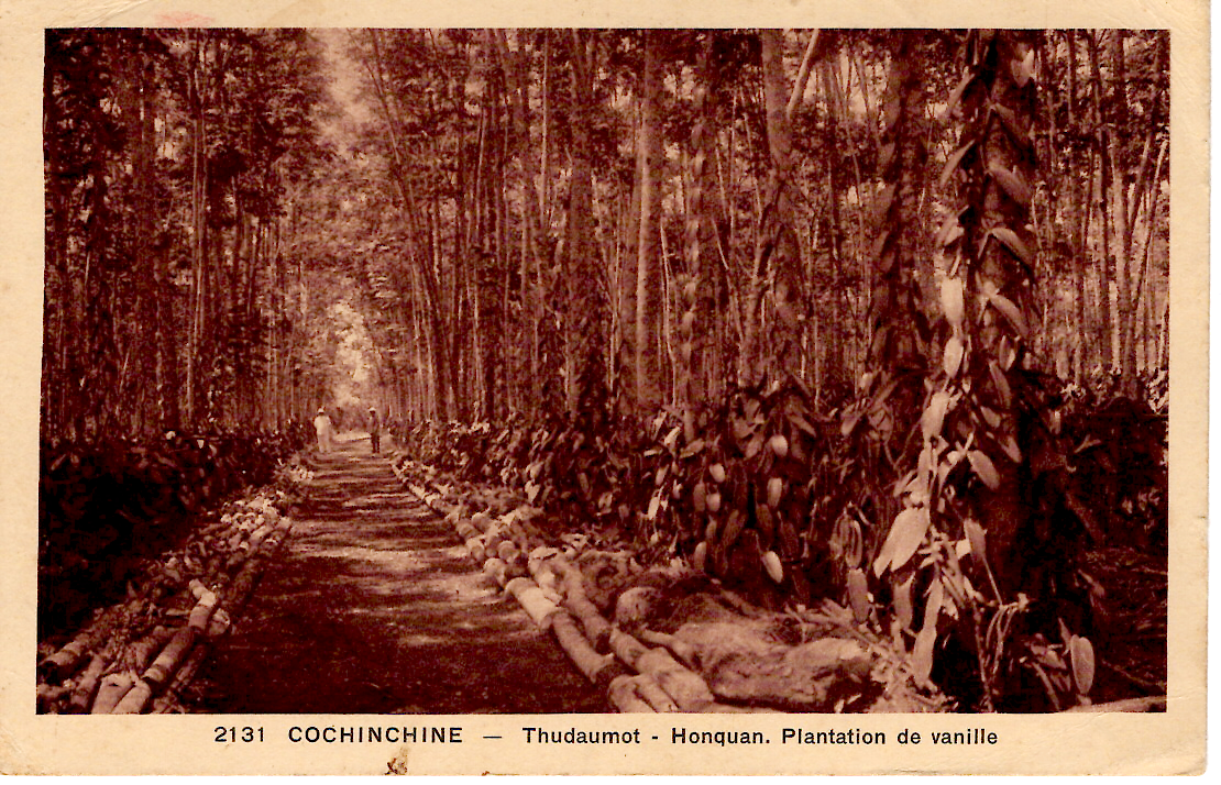 1 INDOCHINE 6C+3C CARTE COCHINCHINE PAQUEBOT SINGAPORE 1937 POUR BELGIQUE